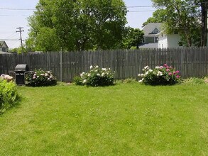 20 N Locust St, Unit Apt 1 in Aurora, IL - Building Photo - Building Photo