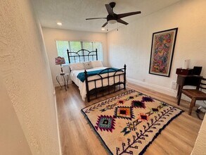 2204 Palmera Cove in Austin, TX - Building Photo - Building Photo