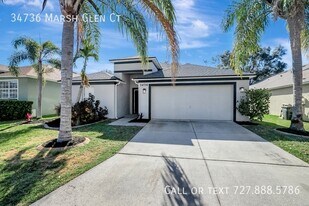 34736 Marsh Glen Ct in Zephyrhills, FL - Building Photo