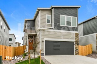11172 Murrelet Dr in Colorado Springs, CO - Building Photo