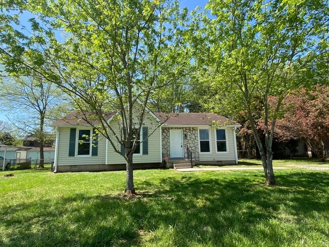 203 Luckett Pl in Smyrna, TN - Building Photo - Building Photo