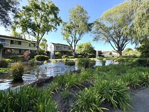 801 Runningwood Cir in Mountain View, CA - Building Photo - Building Photo