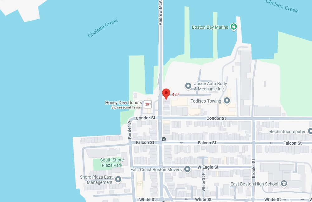 477 Meridian St, Unit 2 in Boston, MA - Building Photo