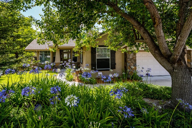 property at 625 Asilo