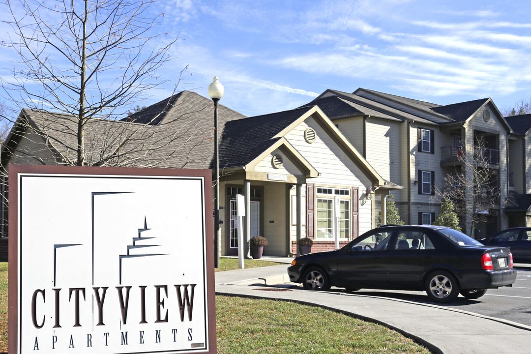 City View Apartments in Kingsport, TN - Building Photo