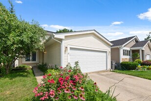 16203 Fox Ct in Orland Hills, IL - Building Photo