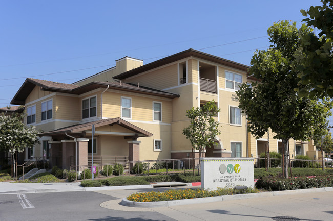 Ivy at College Park in Chino, CA - Building Photo - Building Photo