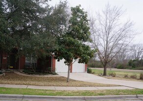 105 W Oxford Dr in Pflugerville, TX - Building Photo