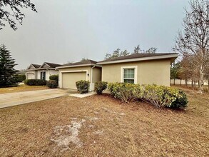 10113 Candleberry Wds Ln in Gibsonton, FL - Building Photo - Building Photo