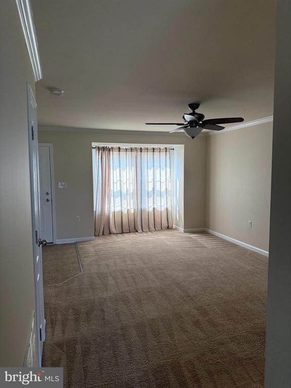 1130 Stallion St