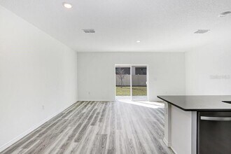 31298 Paper Birch St in Wesley Chapel, FL - Building Photo - Building Photo