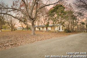 601 Washington St in Castroville, TX - Building Photo - Building Photo