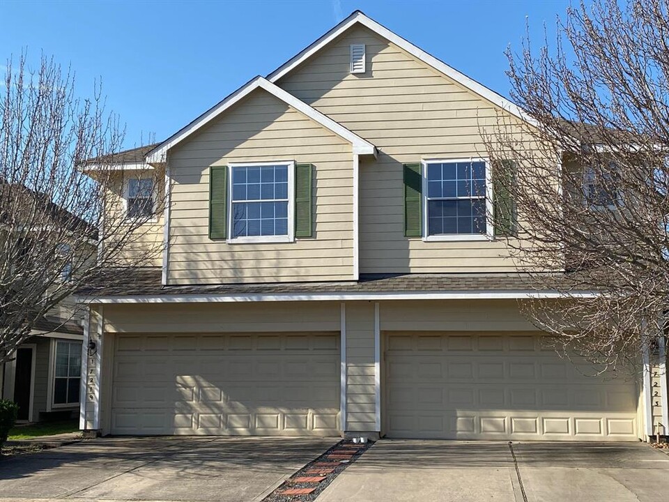 17219 Oakwood Chase Dr in Spring, TX - Building Photo