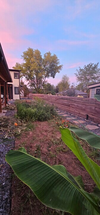 1413 Hazel St in Charlottesville, VA - Building Photo