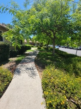 7266 Allott Ave in Los Angeles, CA - Building Photo - Building Photo