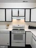 119 Cameron St in Berryville, VA - Building Photo