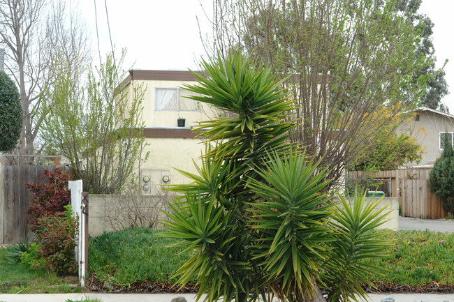 37157 Locust St in Newark, CA - Foto de edificio - Building Photo