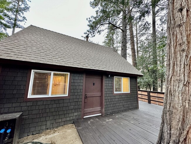 25165 Cedar St in Idyllwild, CA - Building Photo - Building Photo