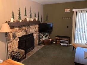 313 Tramway Dr in Stateline, NV - Building Photo - Building Photo