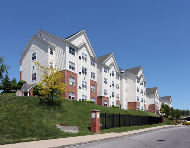 Student | University Courtyard Apartments in Youngstown, OH - Building Photo - Building Photo