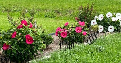 8813 US-64 in Robersonville, NC - Foto de edificio - Building Photo