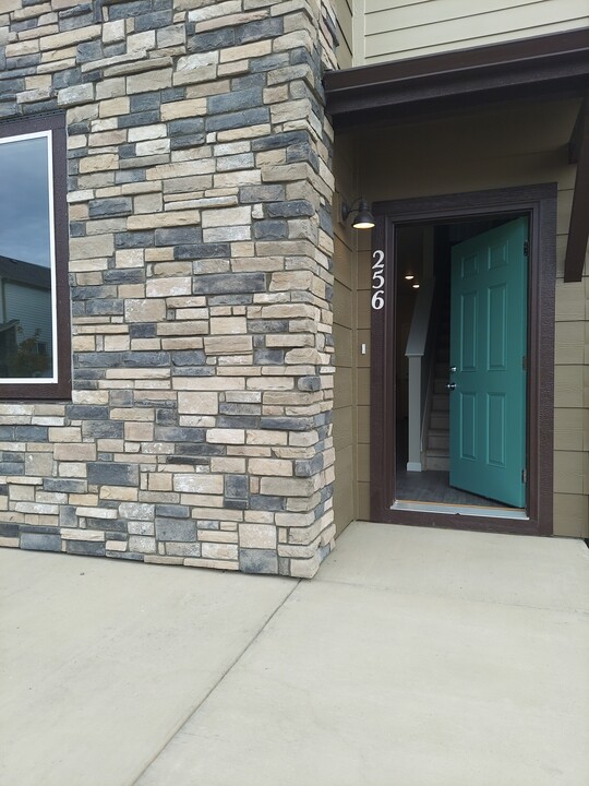 256 Shoveler Wy in Johnstown, CO - Building Photo