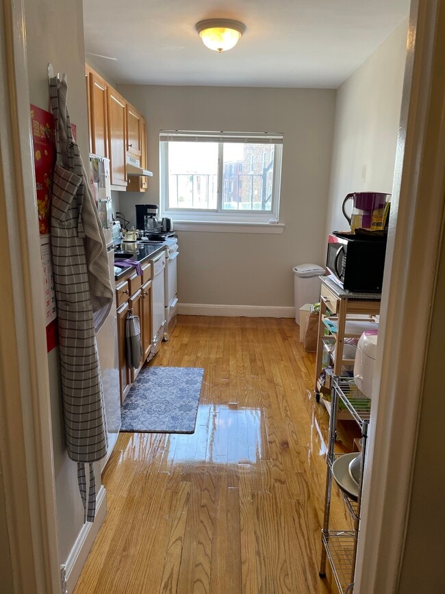 61 Selkirk Rd in Boston, MA - Building Photo - Building Photo