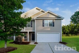 3879 Williamston Park Ct in Winston-Salem, NC - Building Photo