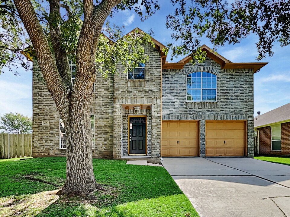 201 Mammoth Springs Ln in Dickinson, TX - Foto de edificio