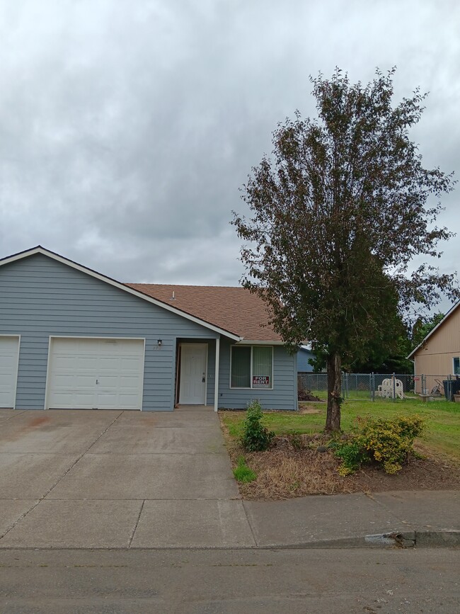 property at 393 Shamrock St