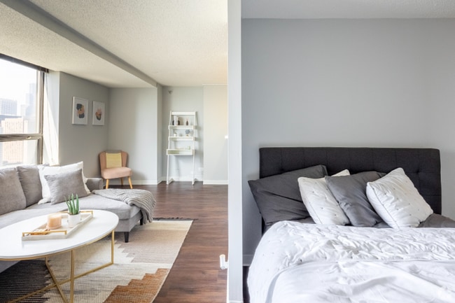 439 E Ohio St in Chicago, IL - Building Photo - Building Photo