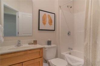 1608 Whipple Dr in Blacksburg, VA - Building Photo - Building Photo