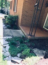 357 Kalmia Ln in Boone, NC - Building Photo - Building Photo