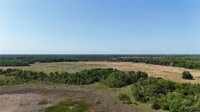8922 Little Bluestem Dr in Land O Lakes, FL - Building Photo - Building Photo