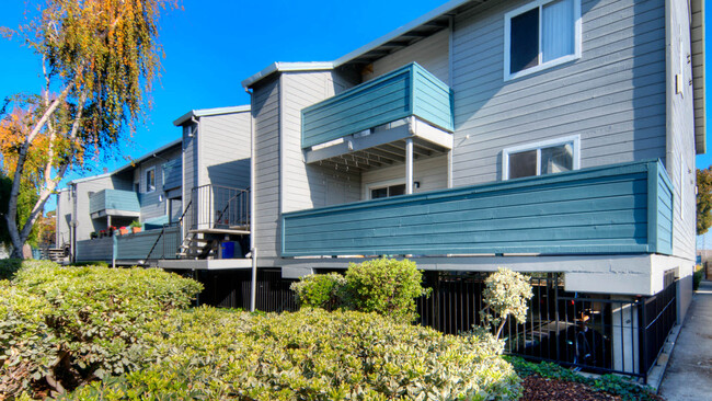 Creekside in San Mateo, CA - Foto de edificio - Building Photo