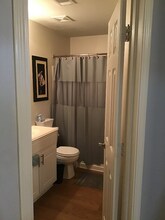 4047 Pedernales River Ln in Spring, TX - Building Photo - Building Photo