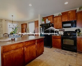 1584 Harpendon Ct in Windsor, CO - Building Photo - Building Photo