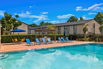 Oasis at Bayside in Largo, FL - Building Photo - Building Photo