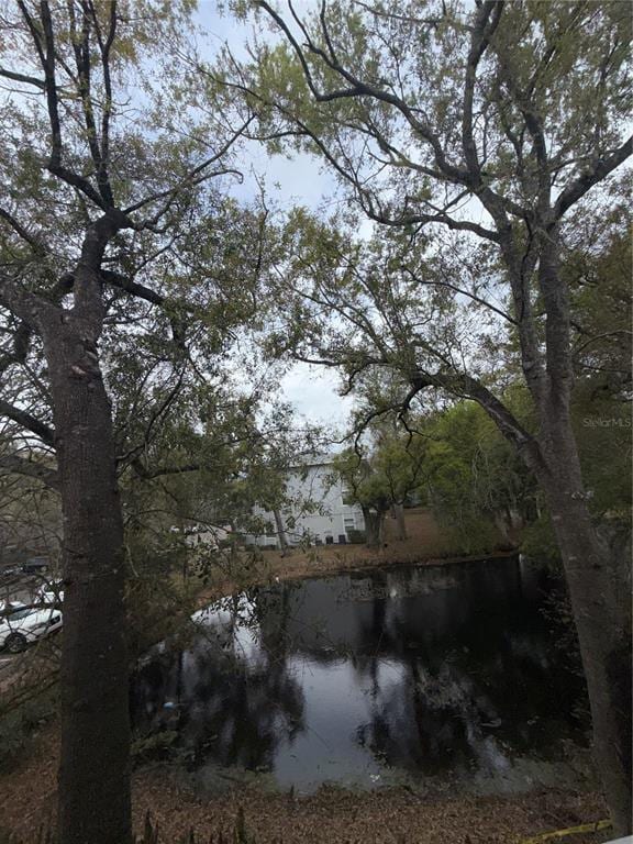 7143 E Bank Dr in Tampa, FL - Building Photo - Building Photo