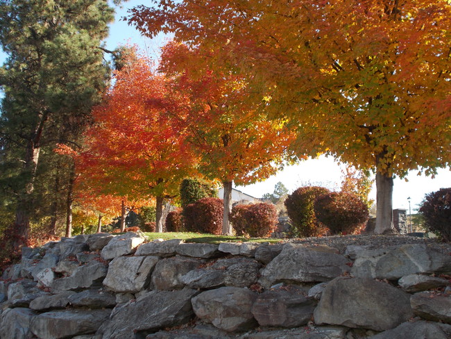 Cherry Bluff & Cherry Ridge Apartments in Spokane Valley, WA - Building Photo - Building Photo