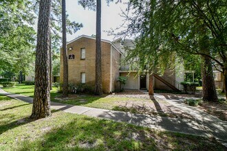 3500 Tangle Brush Dr in The Woodlands, TX - Foto de edificio - Building Photo