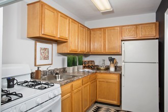 Queenstown Apartments in Mount Rainier, MD - Building Photo - Building Photo