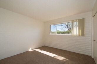 4557 E Bellevue St in Tucson, AZ - Building Photo - Building Photo