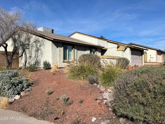 10038 S 46th Pl in Phoenix, AZ - Building Photo - Building Photo