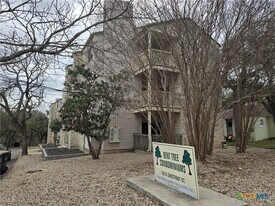 1013 Chestnut St in San Marcos, TX - Building Photo