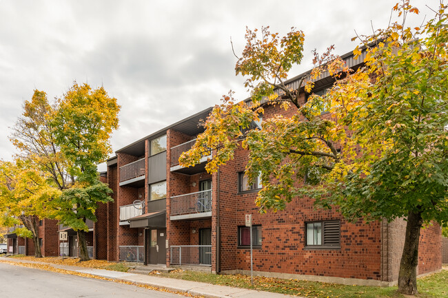 310 Saint-Dominique Rue in Québec, QC - Building Photo - Building Photo