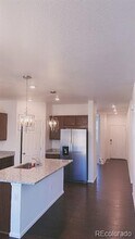 517 Silver Rock Trl in Castle Rock, CO - Building Photo - Building Photo