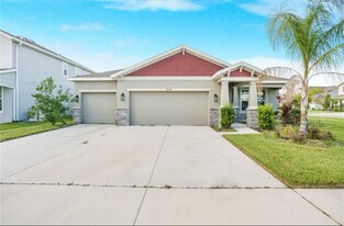 11818 Tetrafin Dr in Riverview, FL - Building Photo