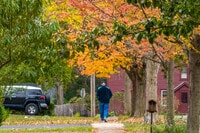 Apartamentos en Fayetteville, NY