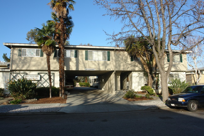 Palm Haven Apartments